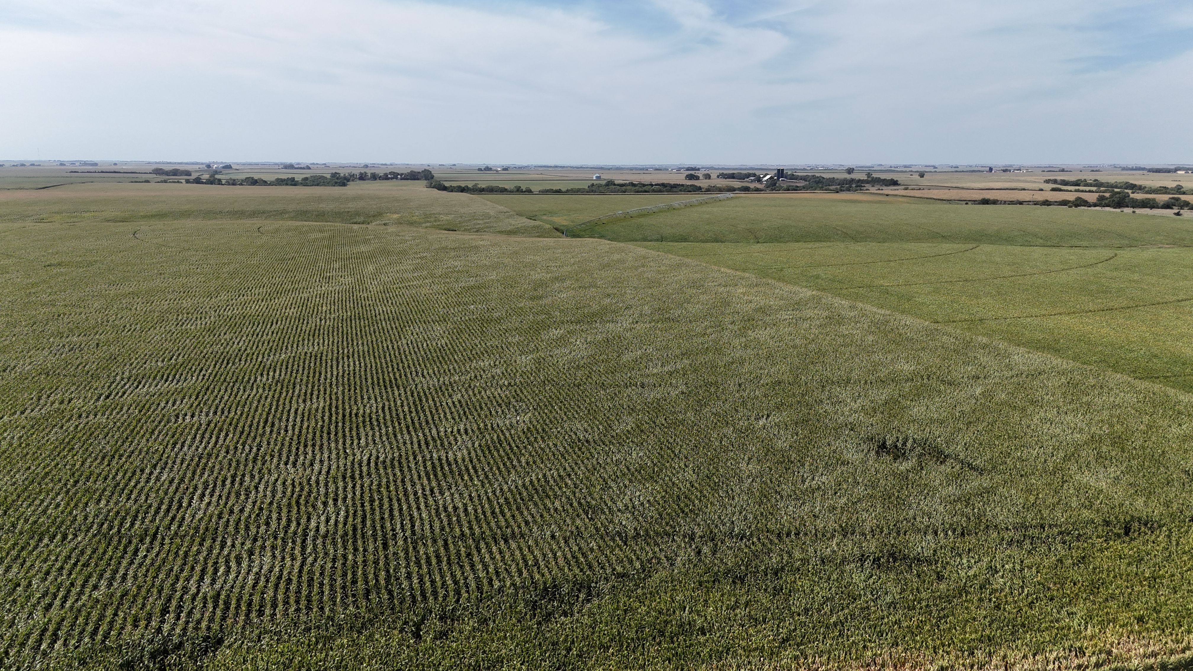Listing Photo: york-county-ne-199-acres (2)